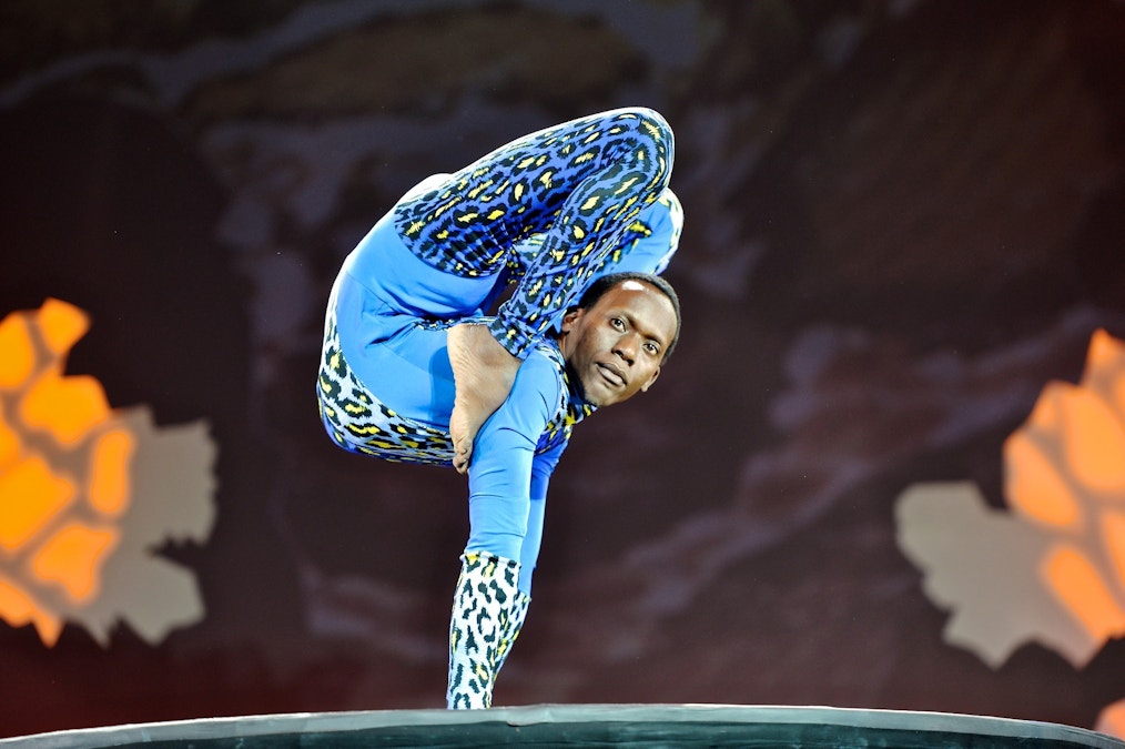 Hit show offers a taste of Africa